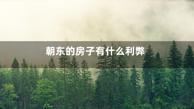 朝东的房子有什么利弊