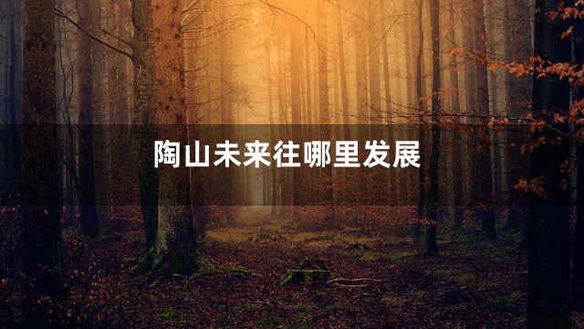 陶山未来往哪里发展