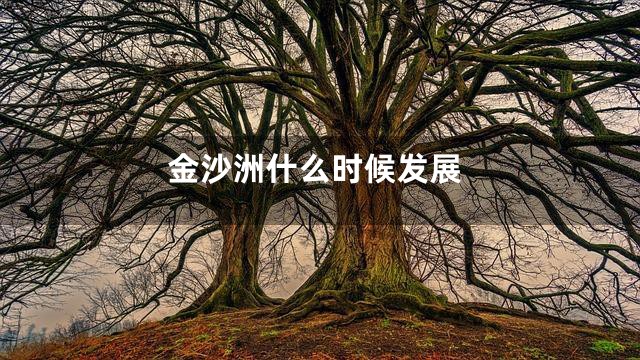 金沙洲什么时候发展