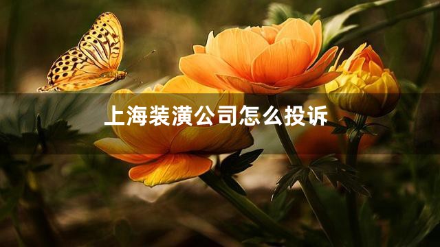 上海装潢公司怎么投诉