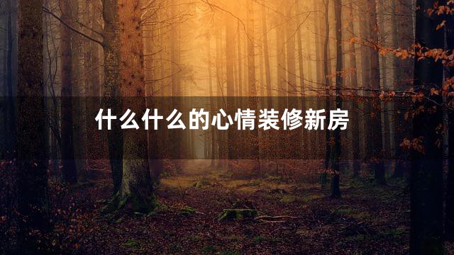 什么什么的心情装修新房