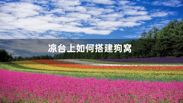 凉台上如何搭建狗窝