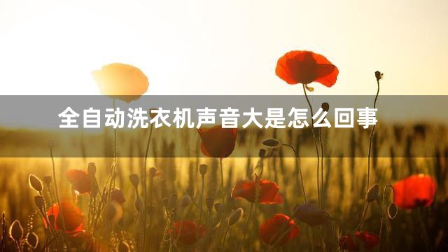 全自动洗衣机声音大是怎么回事