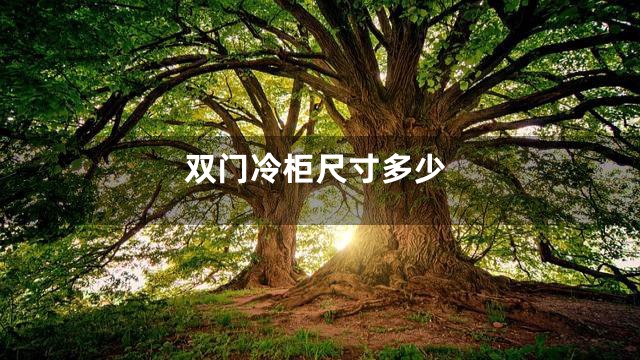 双门冷柜尺寸多少