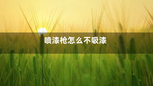 喷漆枪怎么不吸漆