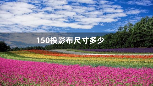 150投影布尺寸多少