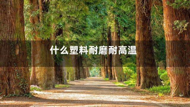 什么塑料耐磨耐高温