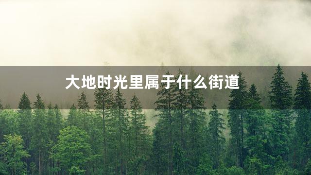 大地时光里属于什么街道