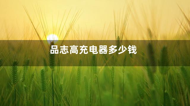品志高充电器多少钱