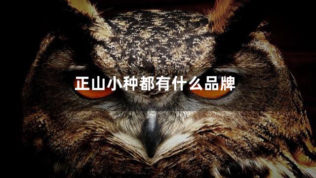 正山小种都有什么品牌