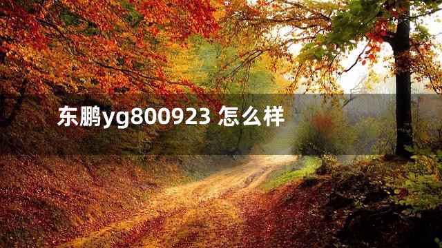 东鹏yg800923 怎么样
