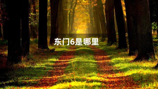东门6是哪里
