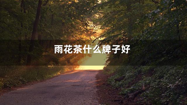 雨花茶什么牌子好