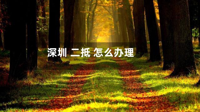 深圳 二抵 怎么办理