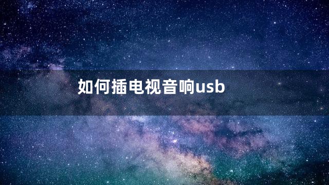 如何插电视音响usb
