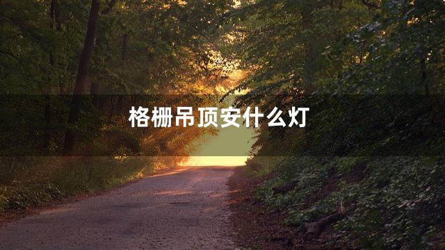 格栅吊顶安什么灯