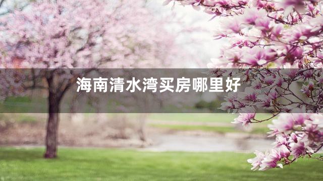 海南清水湾买房哪里好