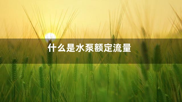 什么是水泵额定流量
