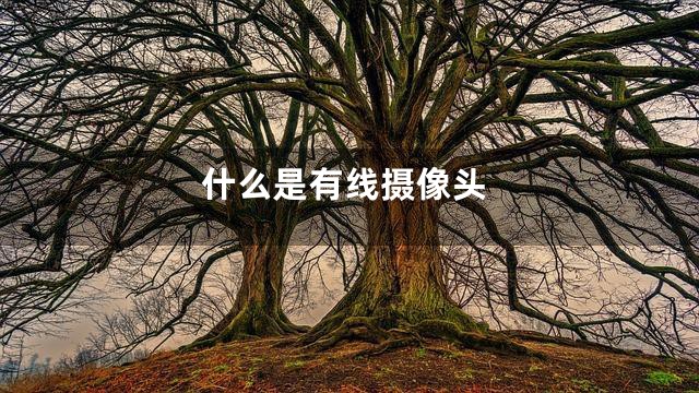 什么是有线摄像头