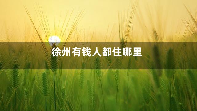 徐州有钱人都住哪里