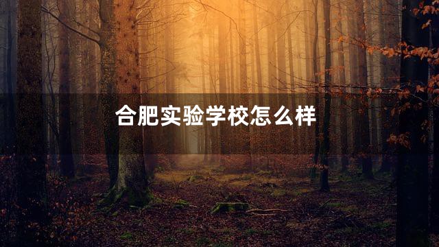合肥实验学校怎么样