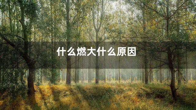 什么燃大什么原因
