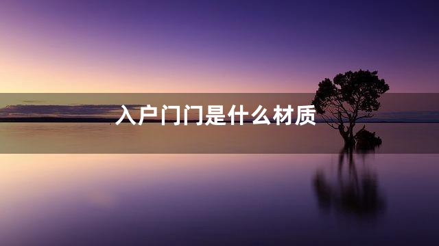 入户门门是什么材质