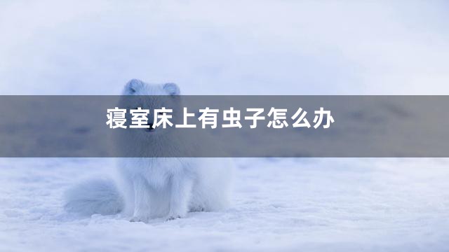 寝室床上有虫子怎么办