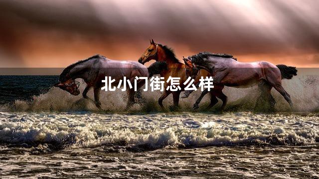 北小门街怎么样
