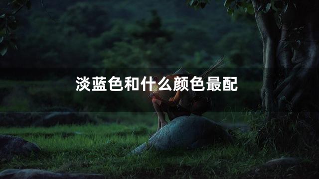 淡蓝色和什么颜色最配