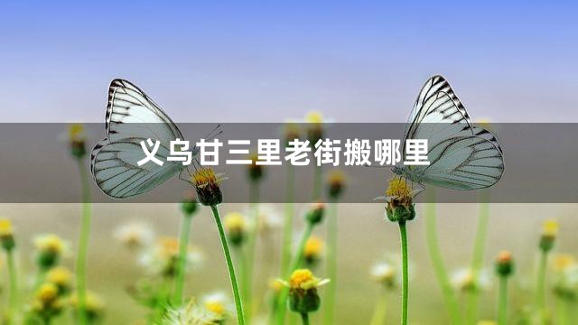 义乌甘三里老街搬哪里