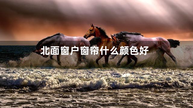 北面窗户窗帘什么颜色好