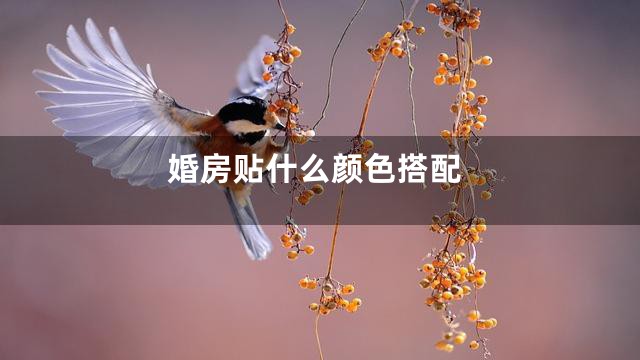 婚房贴什么颜色搭配
