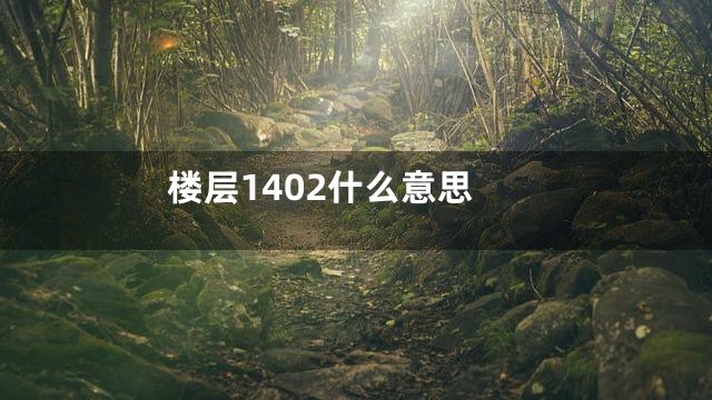 楼层1402什么意思