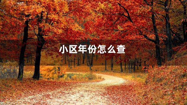 小区年份怎么查