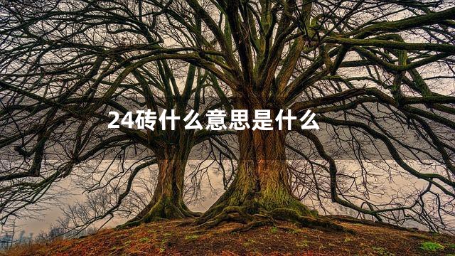 24砖什么意思是什么