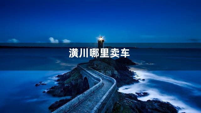 潢川哪里卖车