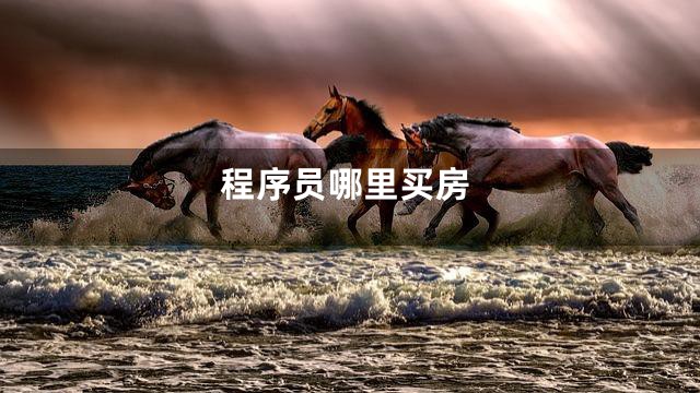 程序员哪里买房