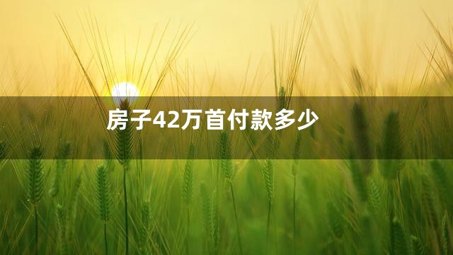 房子42万首付款多少
