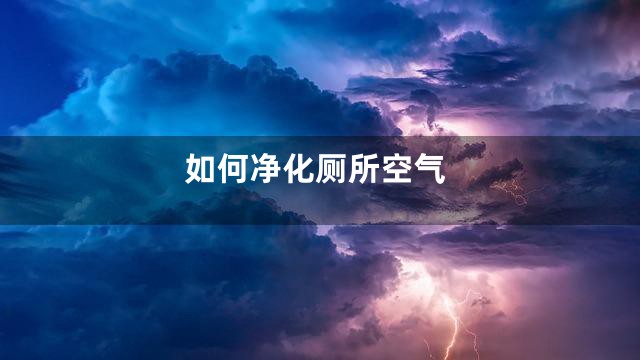 如何净化厕所空气