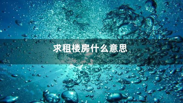 求租楼房什么意思