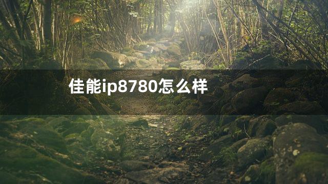 佳能ip8780怎么样