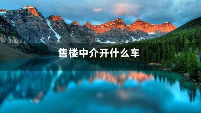 售楼中介开什么车