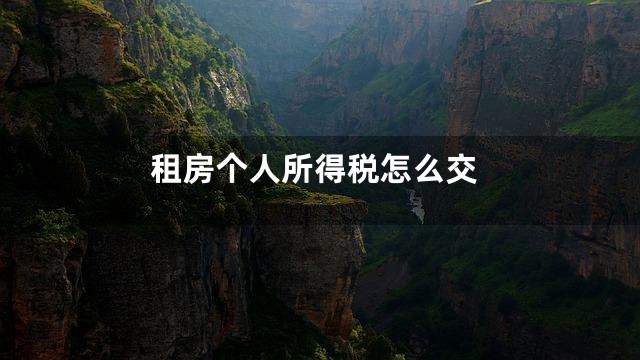 租房个人所得税怎么交