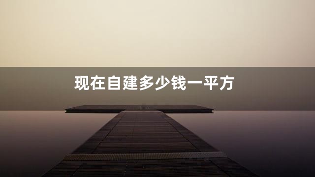 现在自建多少钱一平方