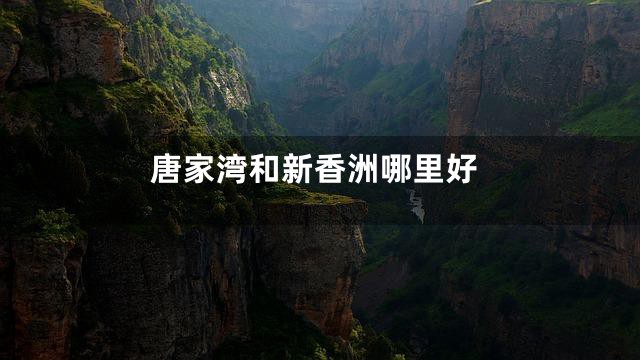 唐家湾和新香洲哪里好