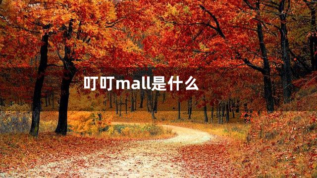 叮叮mall是什么