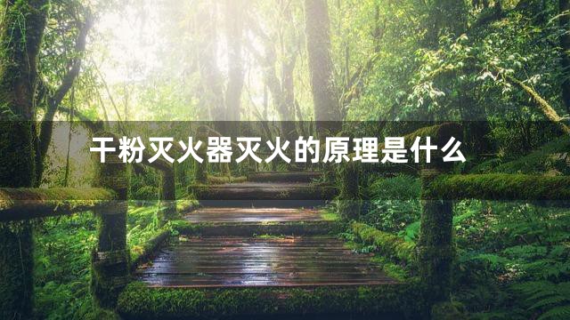 干粉灭火器灭火的原理是什么