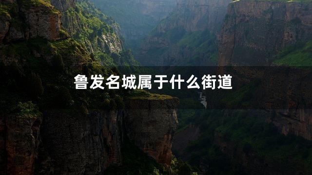 鲁发名城属于什么街道