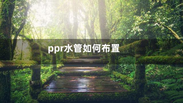 ppr水管如何布置